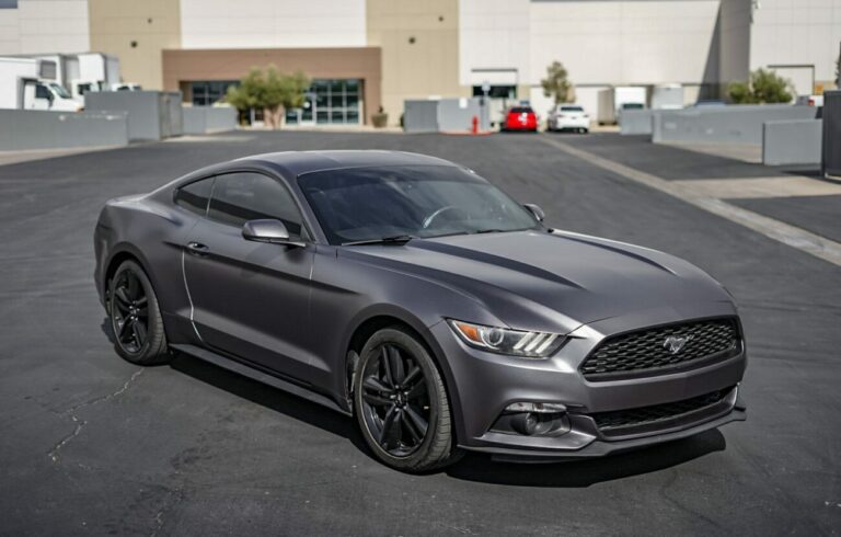 Custom Dark Mustang